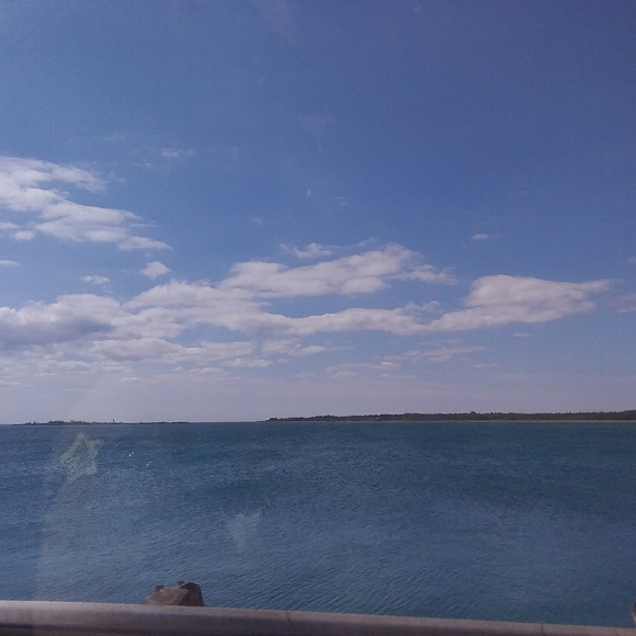 Meet the posher Coley - Picture 5 of 6